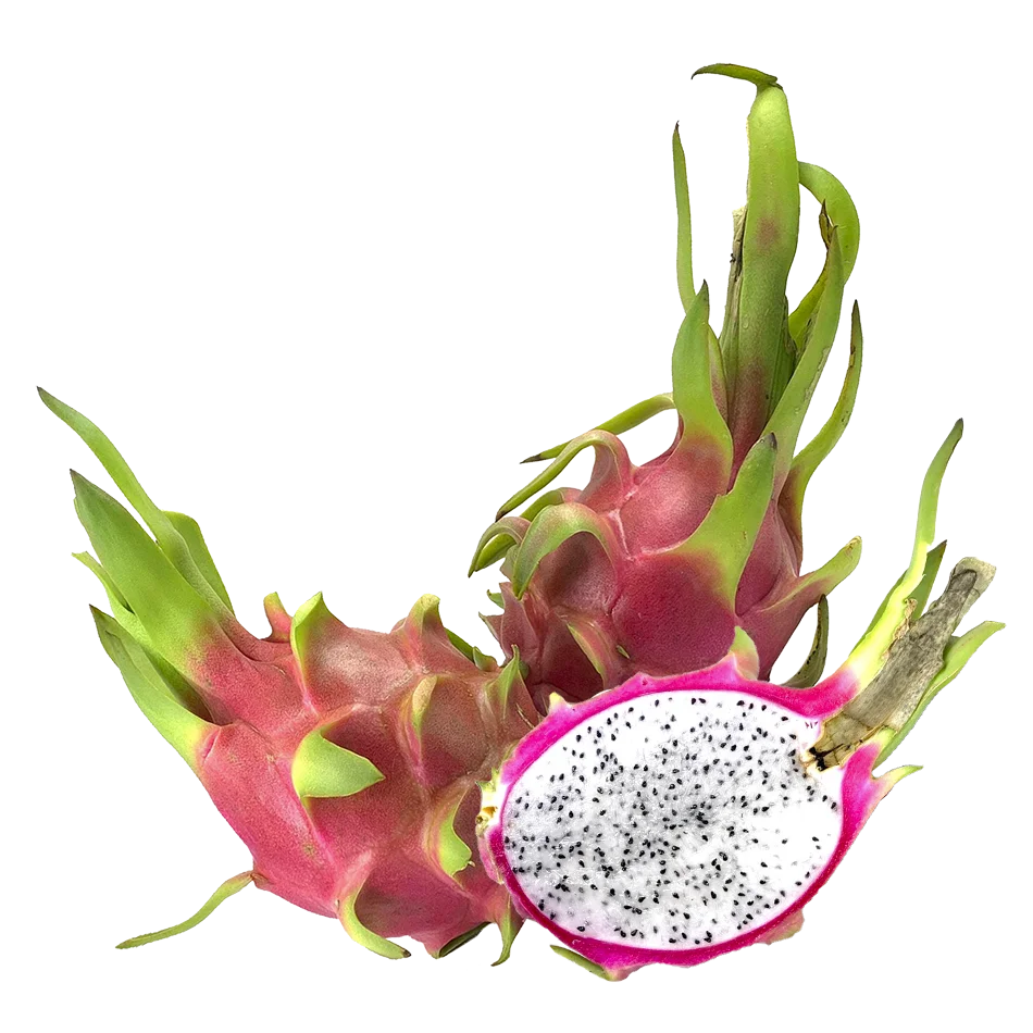 Fresh White Dragon Fruit Hot Selling Organic Using For Food Bulksales Carton Box Wooden Packaging Vietnam Manufacturer