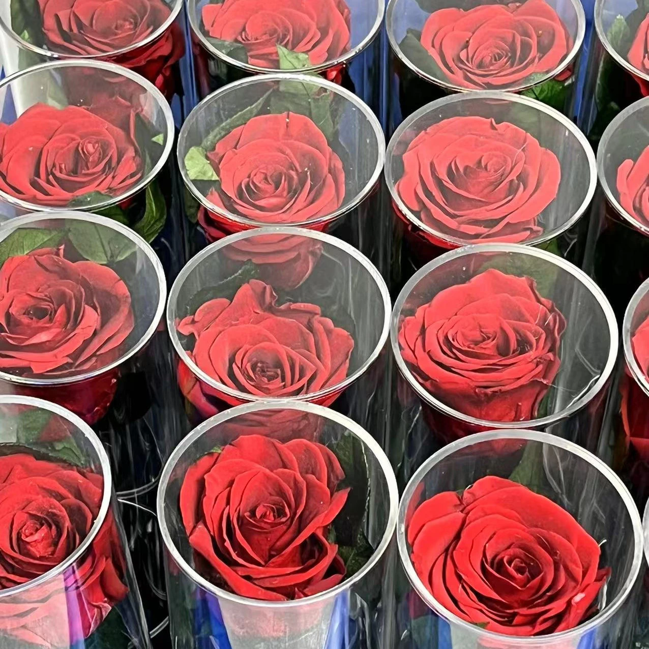 Green environmental flowers	Natural Flowers Preserved rose head +DIY handmade+Decoration flowers