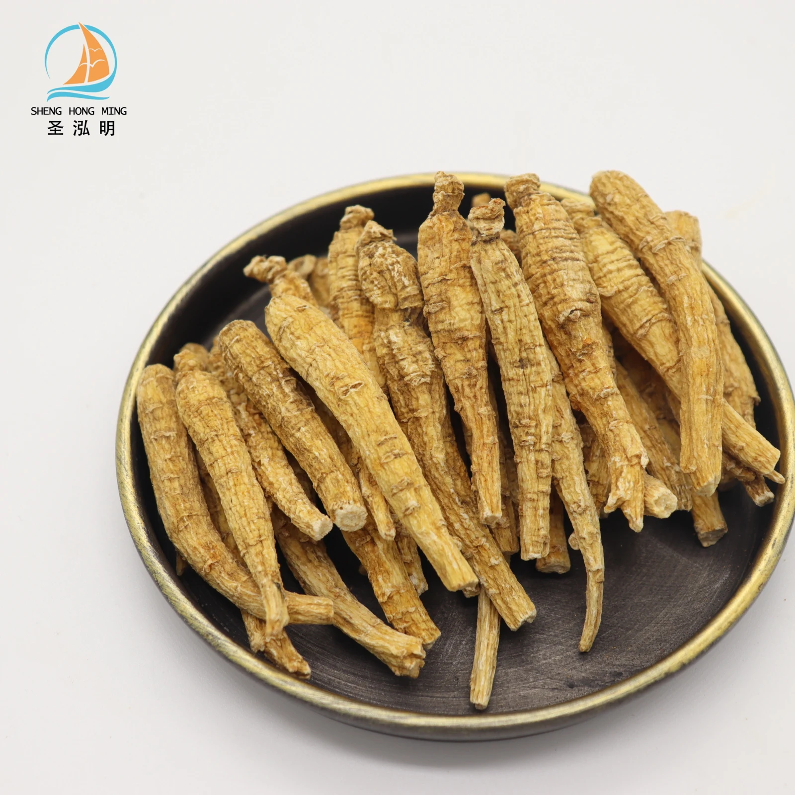 Wholesale Pure Natural Fresh American Ginseng panax quinquefolius with good price