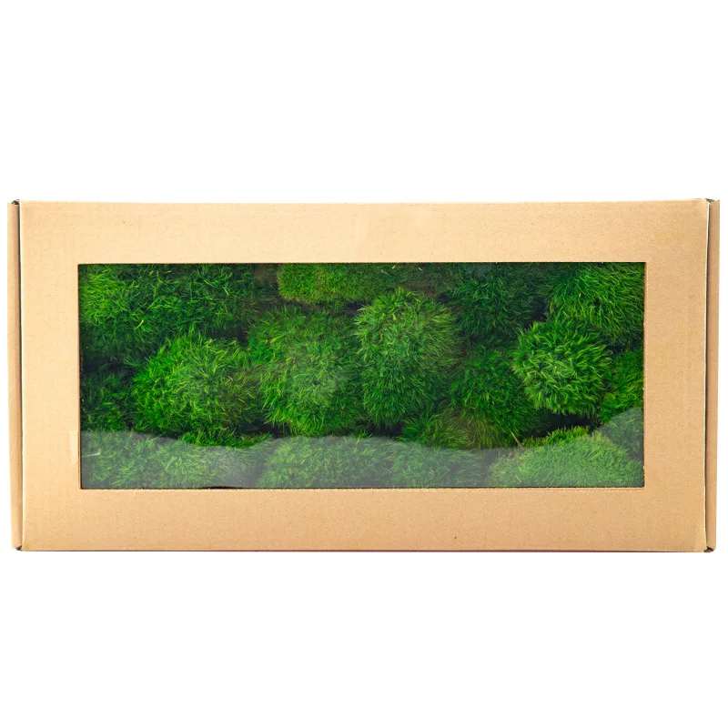 Preserved moss lump moss landscape design real moss for decorative high quality