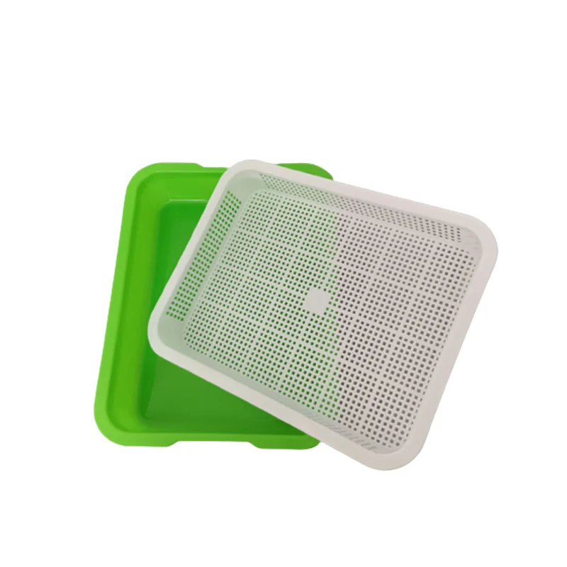 Home Garden Wheat Seedlings Nursery Pots Growing Planting Dishes Double Peanut Bud Sprouts Plate Seedling Tray