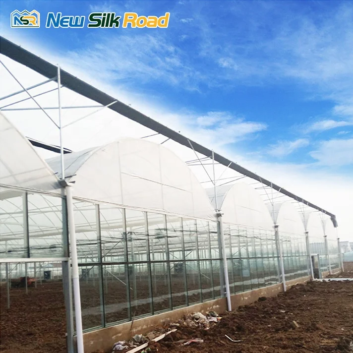 NSR Greenhouse Multi-Span Economical Plastic ac Greenhouse For Sale