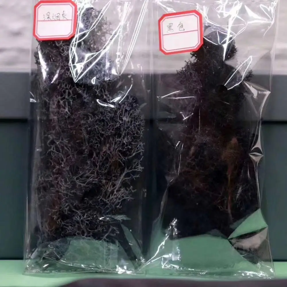 
Chinese supplier new products preserved Moss flower for Wall decoration 