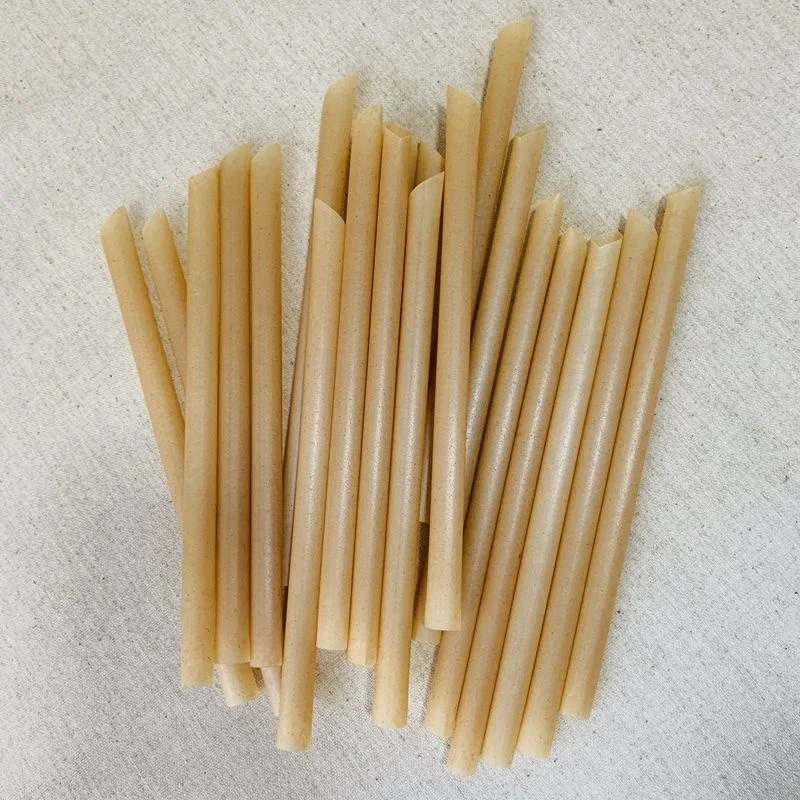 Hot Sale Compostable Biodegradable Fashion Ecological Sugar Cane Straws Sugarcane Bagasse Paper Pulp Straw