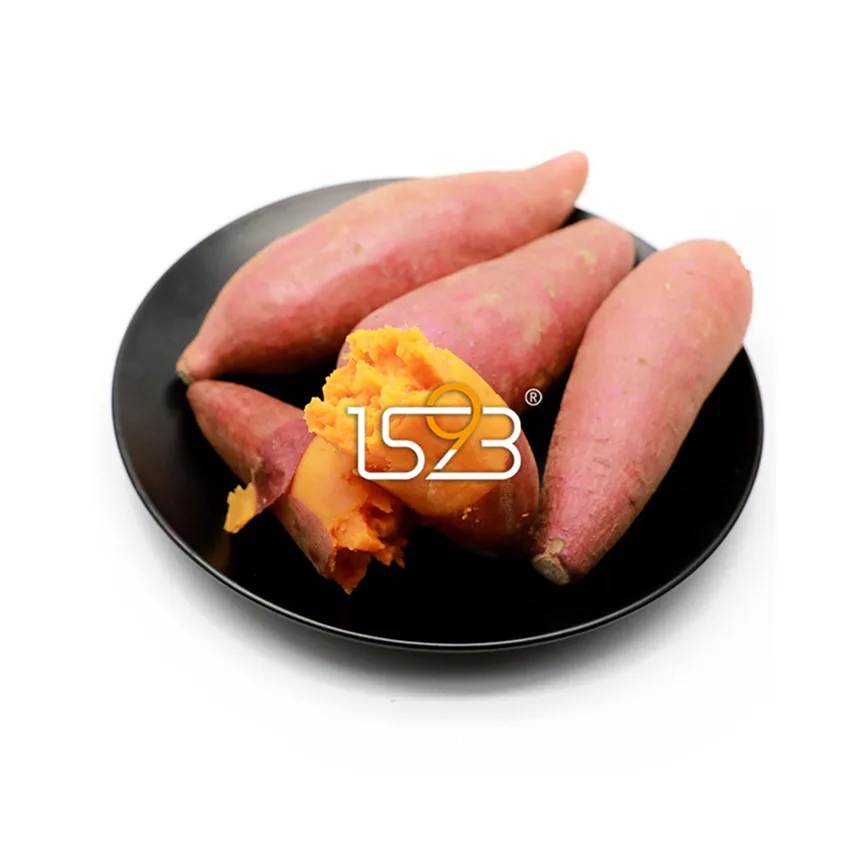 
China mass sale fresh sweet potatoes 2021 new sweet delicious raw sweet potatoes 