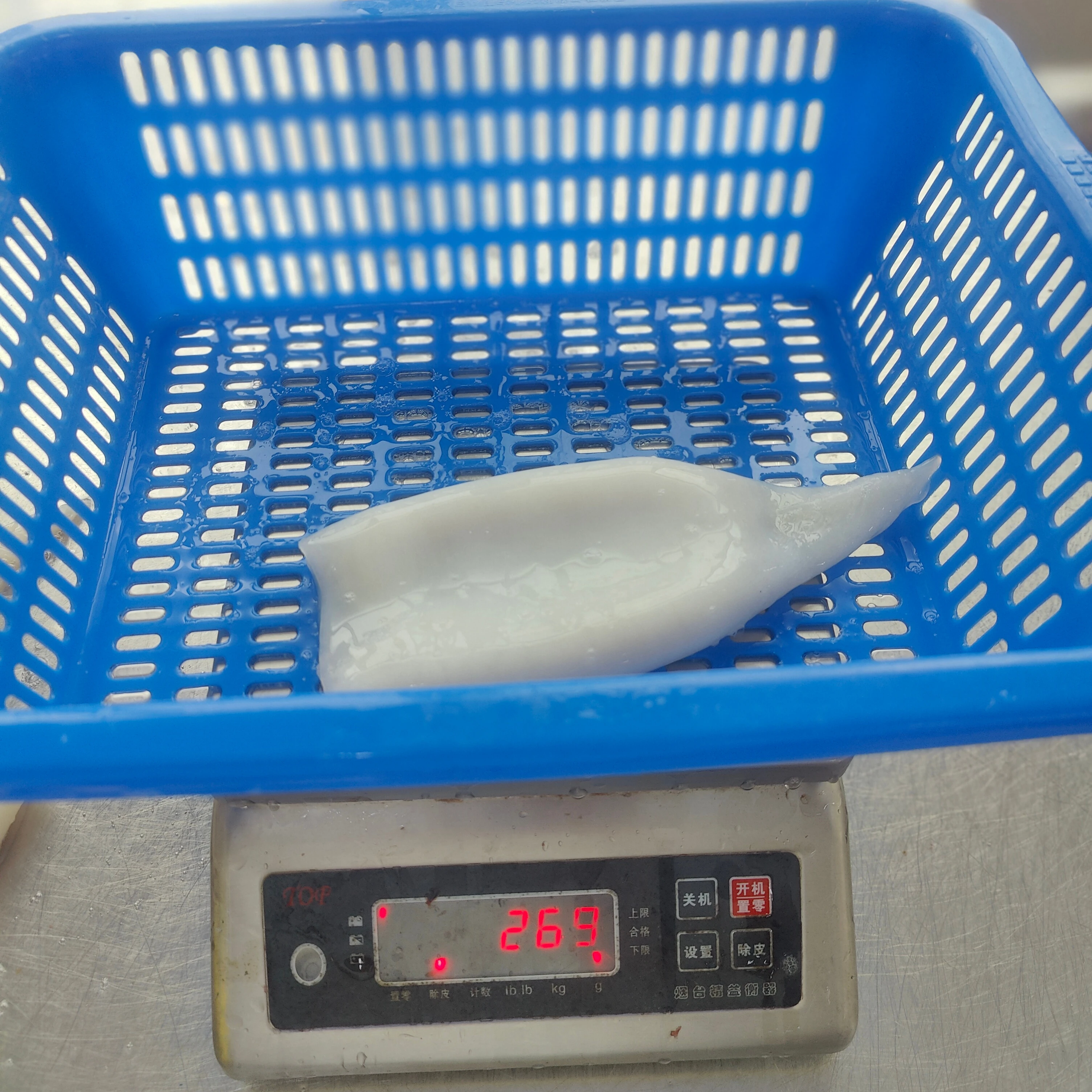 Calamari Wholesale Cheap Price Peru Giant Frozen Squid Tubes U5 U7