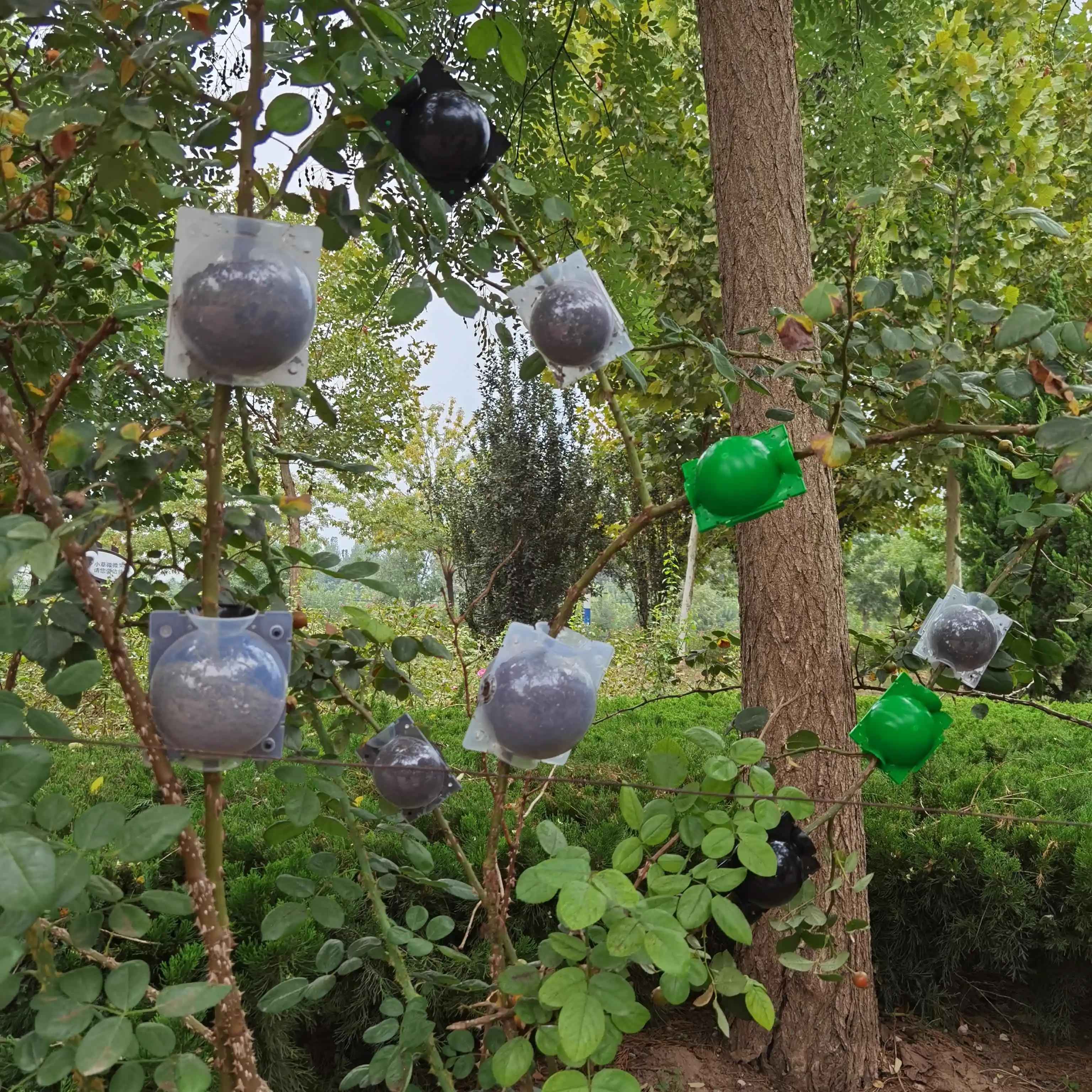 Plant Rooting Ball Plant Rooting Ball High Pressure Propagation Ball for Garden Fertilizer