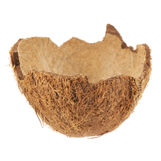 
Export Quality Raw Coconut Shell From Indonesia 