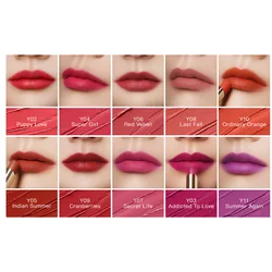 Косметика для ребрендинга, матовая губная помада, водостойкая губная помада на заказ, фирменная торговая марка