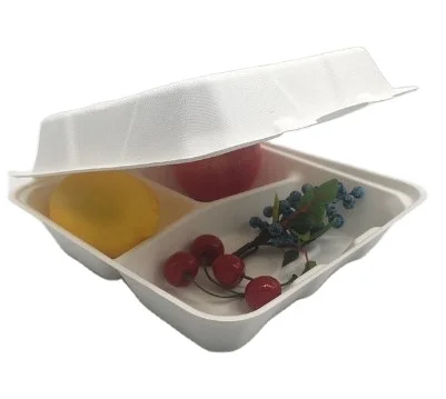 Renewable Compostable Sugarcane Bagasse Tableware Food Tray Biodegradable
