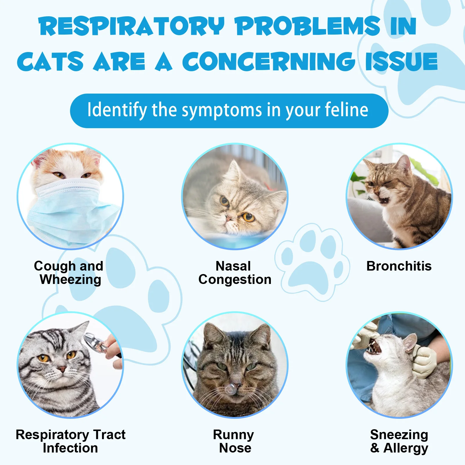 Wholesale Natural Organic OverAll Health Cats Supplements Pet Treatment Liquid Kennel Cough Drops for Cats