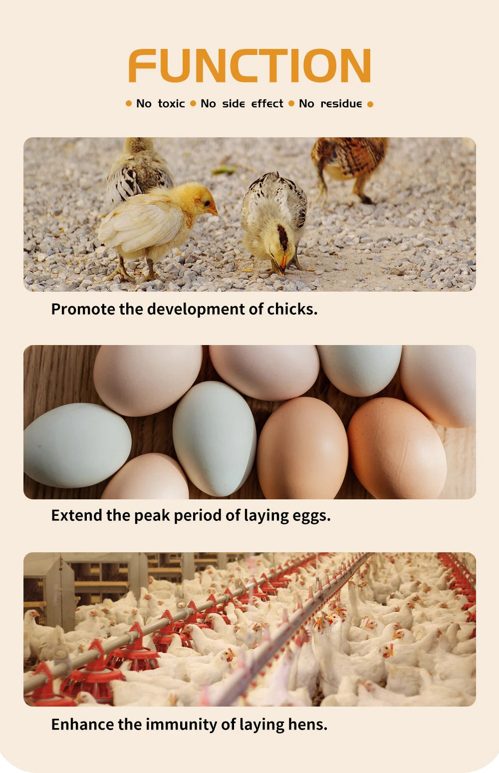 DUTTO layer feed More eggs premix concentrate poultry feed feeds direct manufactures