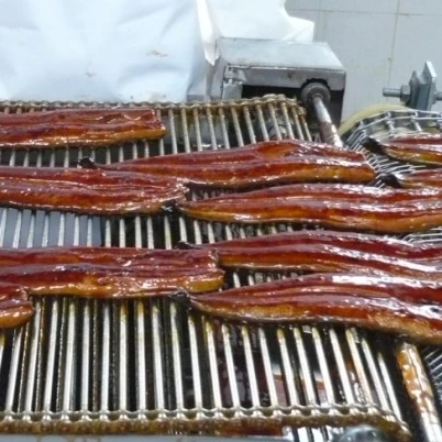 High quality Frozen roasted eel smoked with high quality