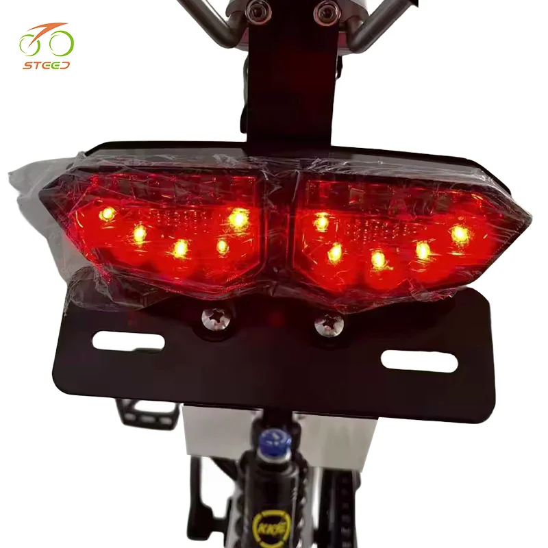 Steed walking bike chaoyang electric bicycle engwe 2000w 3000w fat tire bike with electric conversion kit