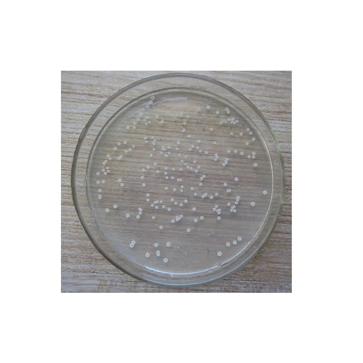 Биофунгицид Bacillus amyloliquefaciens, 6 миллиардов CFU/мл, жидкость для рисовой бактериальной болезни, бактериальная полоса листьев