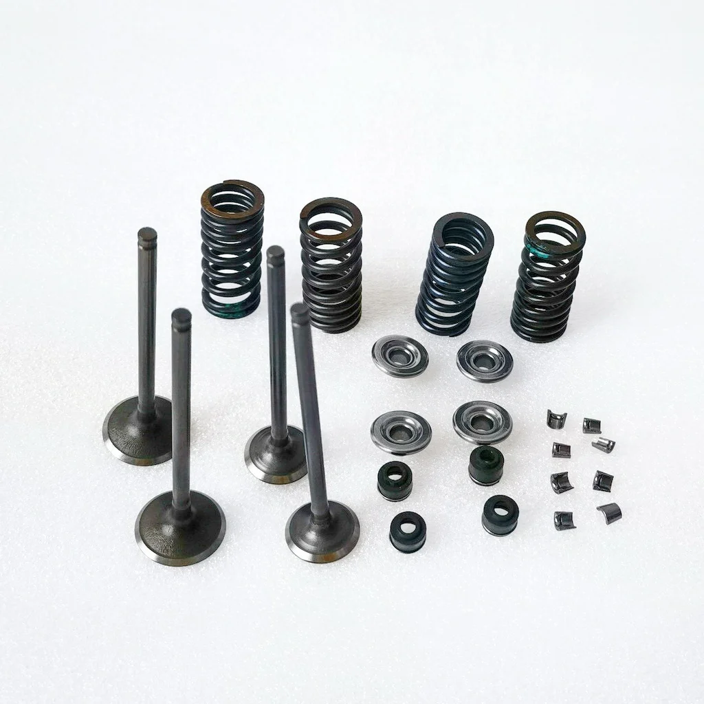 valves and spring kit for Daytona 190 or 212 4 valves engines