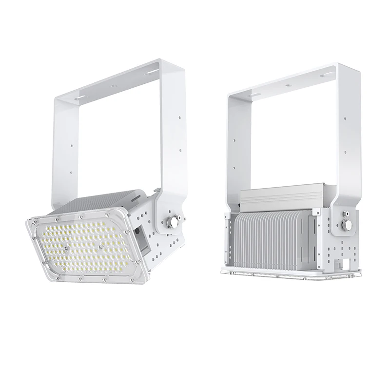 2020 New Economical outdoor lighting FL series led flood light 200 watt