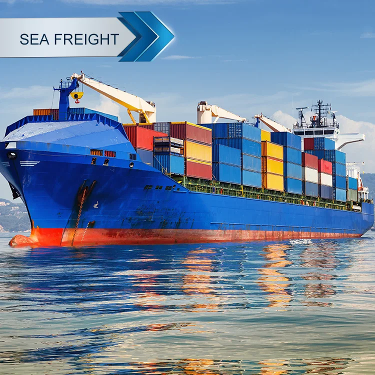 China sea import india freight sea freight china to philippines sea freight forwarder to mexico