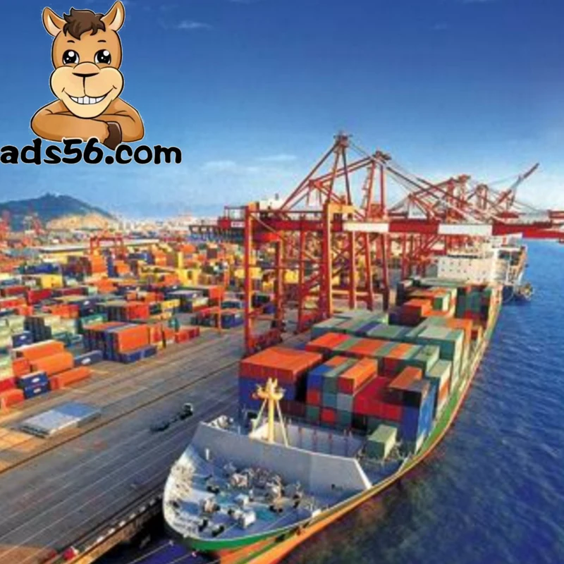 Silicone oil from China to South Africa/Morocco/El Salvador by sea LCL