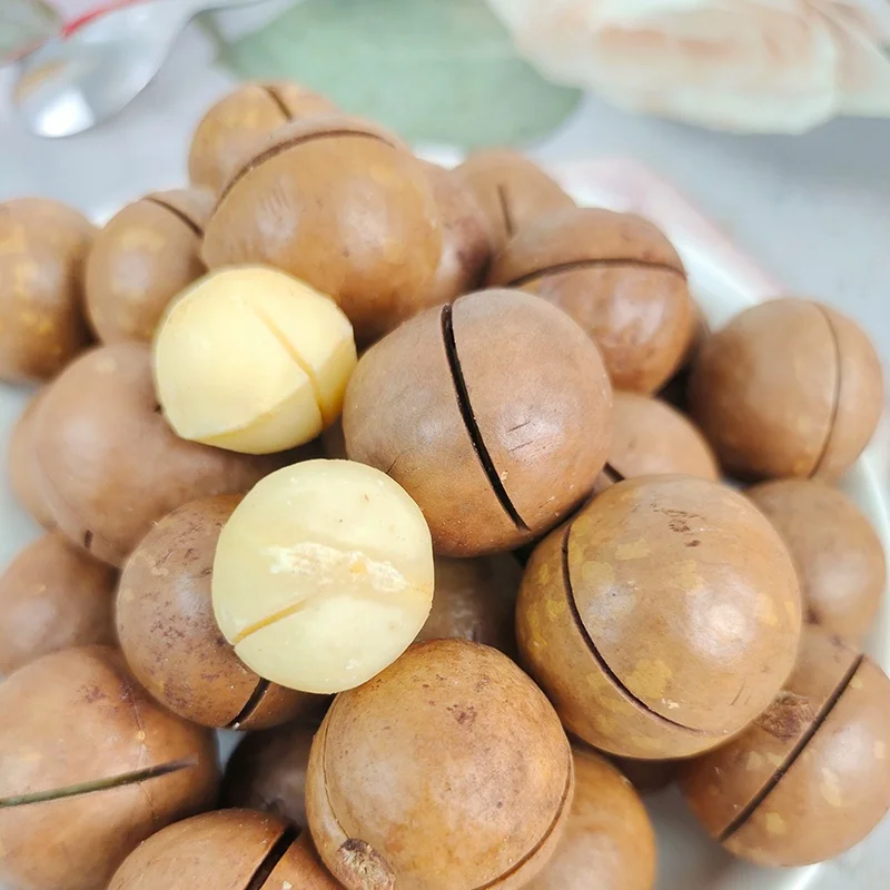 Оптовая продажа обезжиренные здоровые закуски со вкусом сливочного ореха макадамия Вкусные Жареные Ядра макадамии