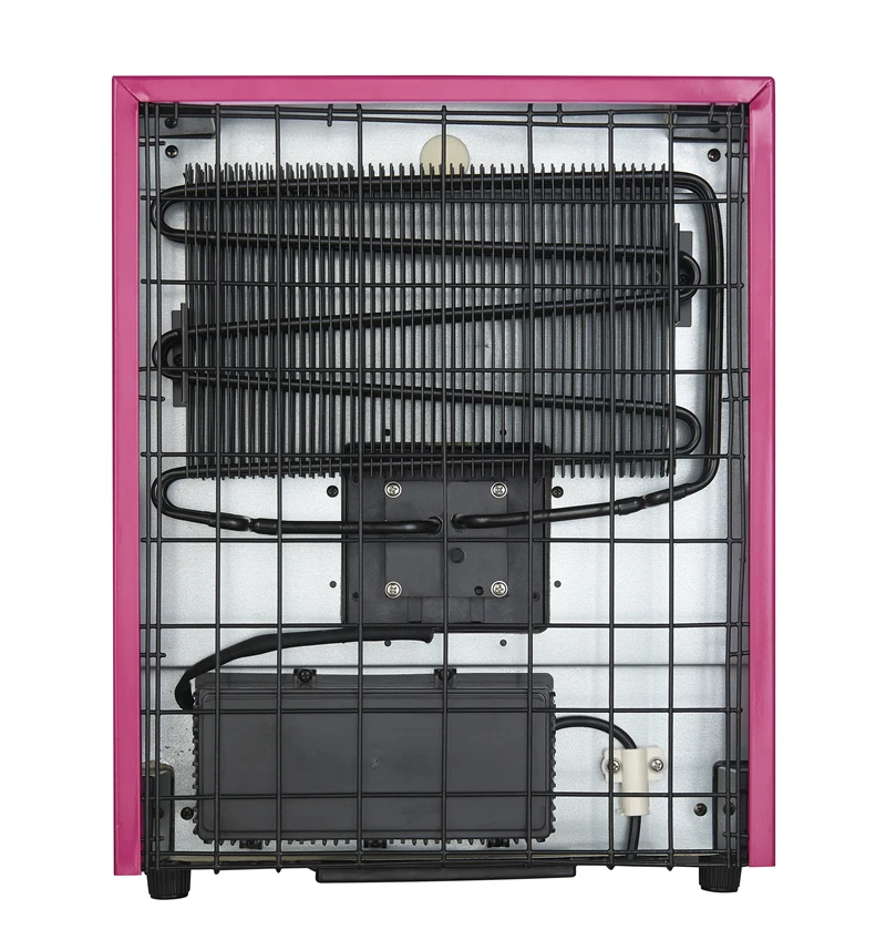 25L thermoelectric small fridge mini refrigerator cosmet fridg for home use