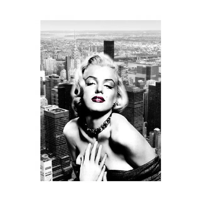 High Quality Sexy Girl Image with Animals Pictures 3d Shenzhen Factory