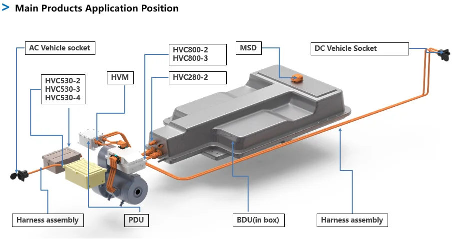 paste-pic-dp_uuid_2mwbn