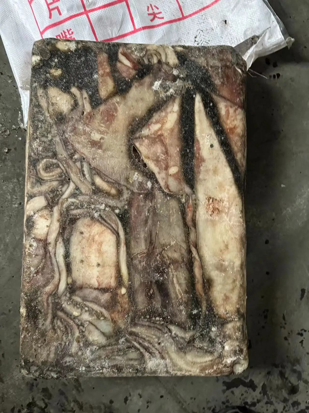 Wholesale Woven Bag Whole Round Peru Squid Dosidicus Gigas Frozen Giant Squid