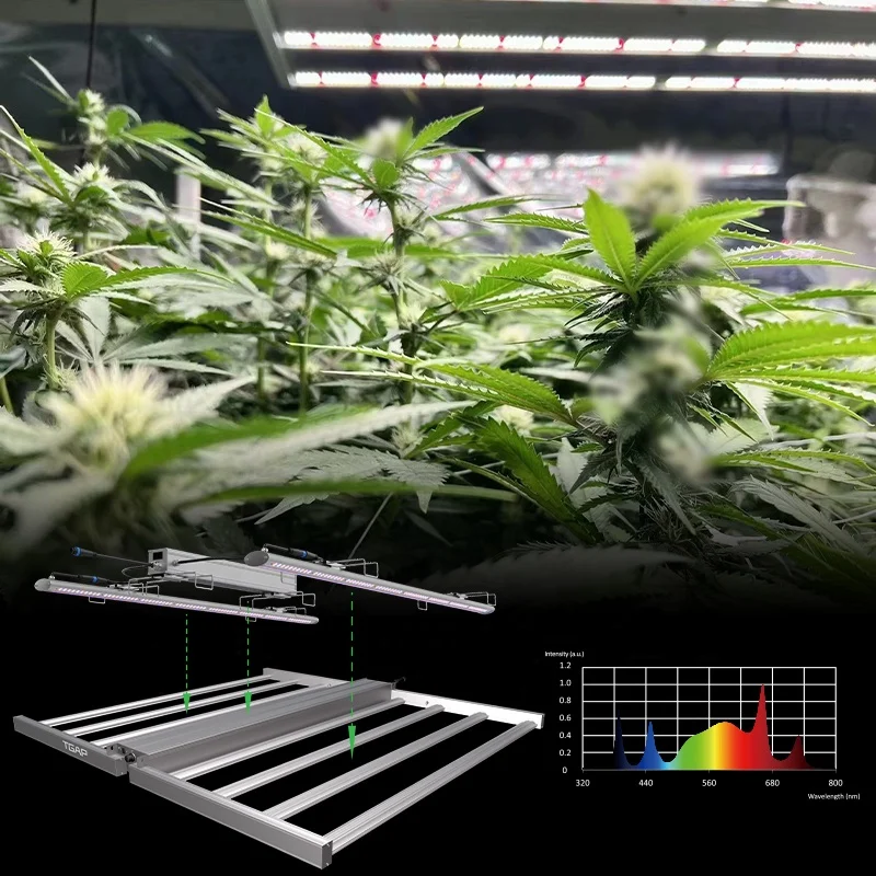 growerschoice Samsung Official Partner TGAP Indoor Hydroponic uv ir 660w Cob lm301H LM301B Full Spectrum led grow Light