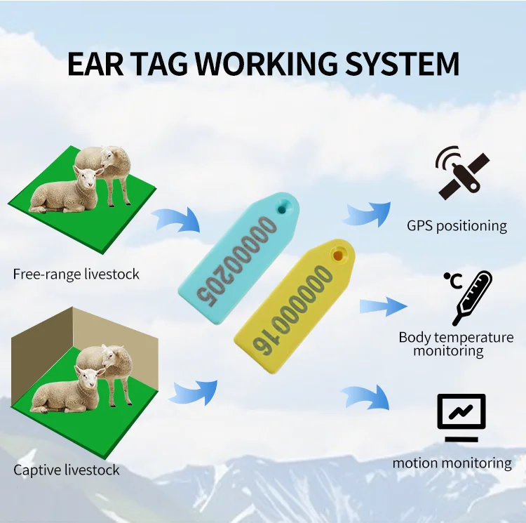 TPU E-013 RFID Livestock Sheep Ear Tags Engraved Marking Cattle Smart Tag For Sheep Pig Cattle
