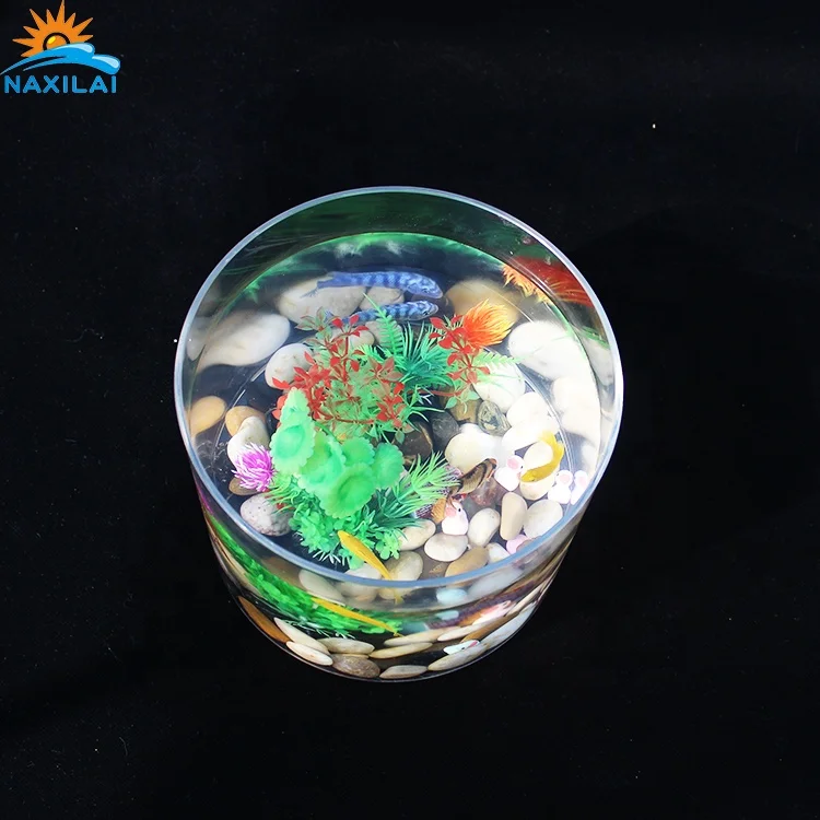 NAXIALI Acrylic Tank Mini Aquariums Acrylic New Design Aquarium Live Goldfish Aquarium Fish