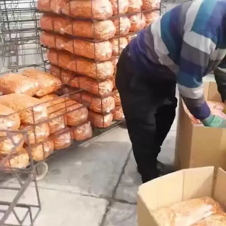 Dried Fungus Cordyceps Militaris For Sales