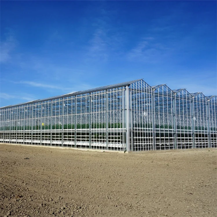 Venlo type hydroponic system agricultural multi-span greenhouse commercial glass green house for vegetables
