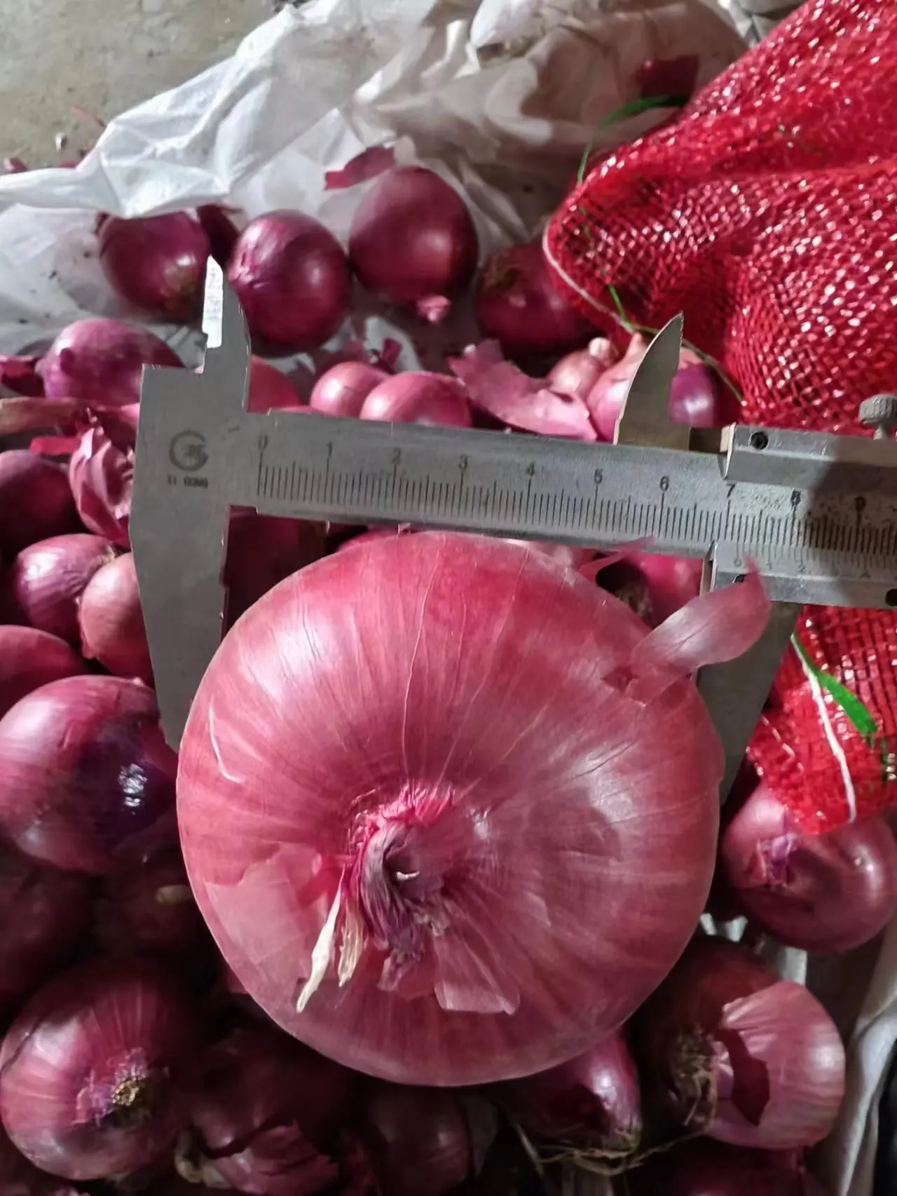 Premium Quality Red Onion New Crop Fresh yellow Onions Good Price Natural Healthy Red onions Wholesale