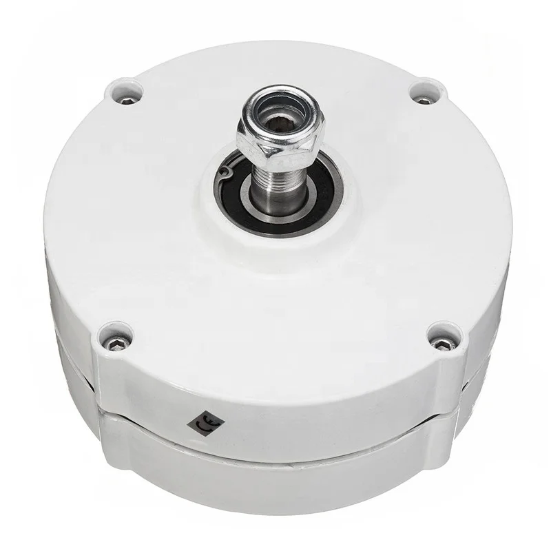 FLTXNY POWER LOW Speed 100W 200W 300w 400w 500w 12V 24V 3 Phase Gearless Permanent Magnet Generator AC Alternators Use