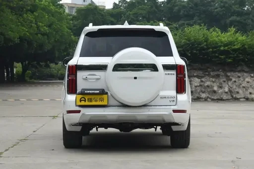 gasline car Tank 500 5 seats 7 seats gasoline 3.0T 48v china manufacturer Best product Hot sale SUV mini car adult