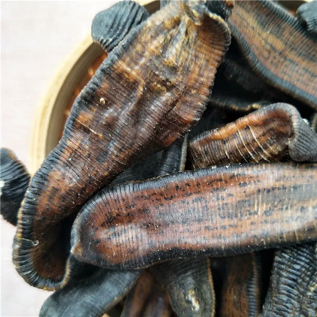 
Shui zhi Best Brand High Quality Dried dry leech 