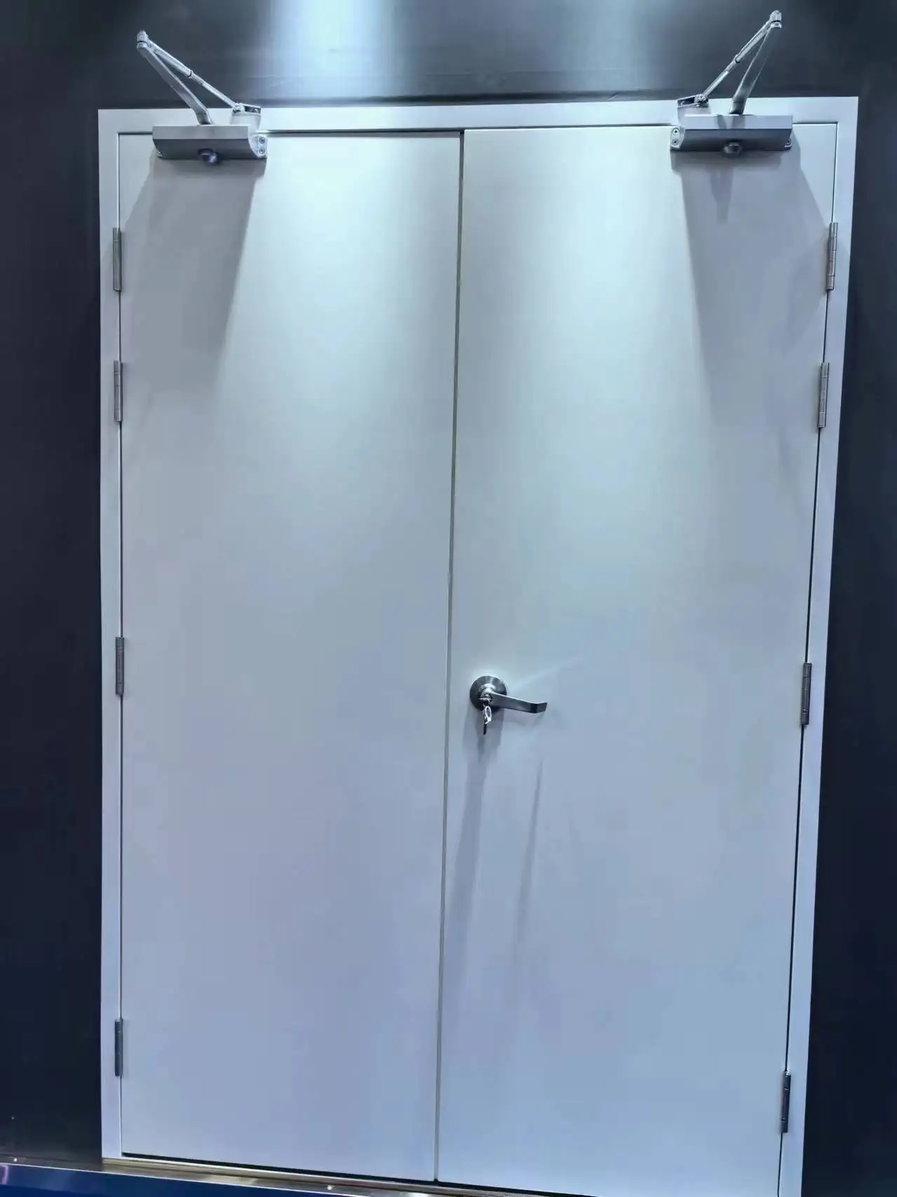 Customized 30 Minute Ventilation Double Open Fire Door EN Standard Steel School Escape Swing Style Fire Door Modern Wooden