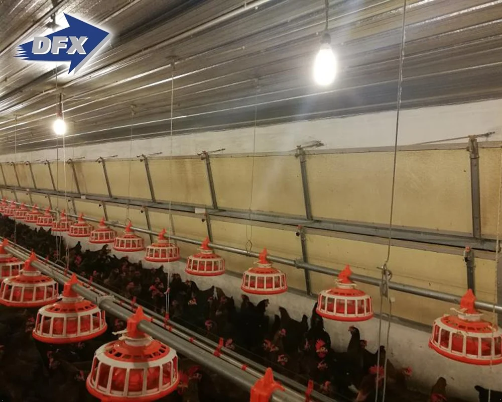 Prefabricated Insulated Steel Structure Cowshed Stable Barn Chicken House from Qingdao China