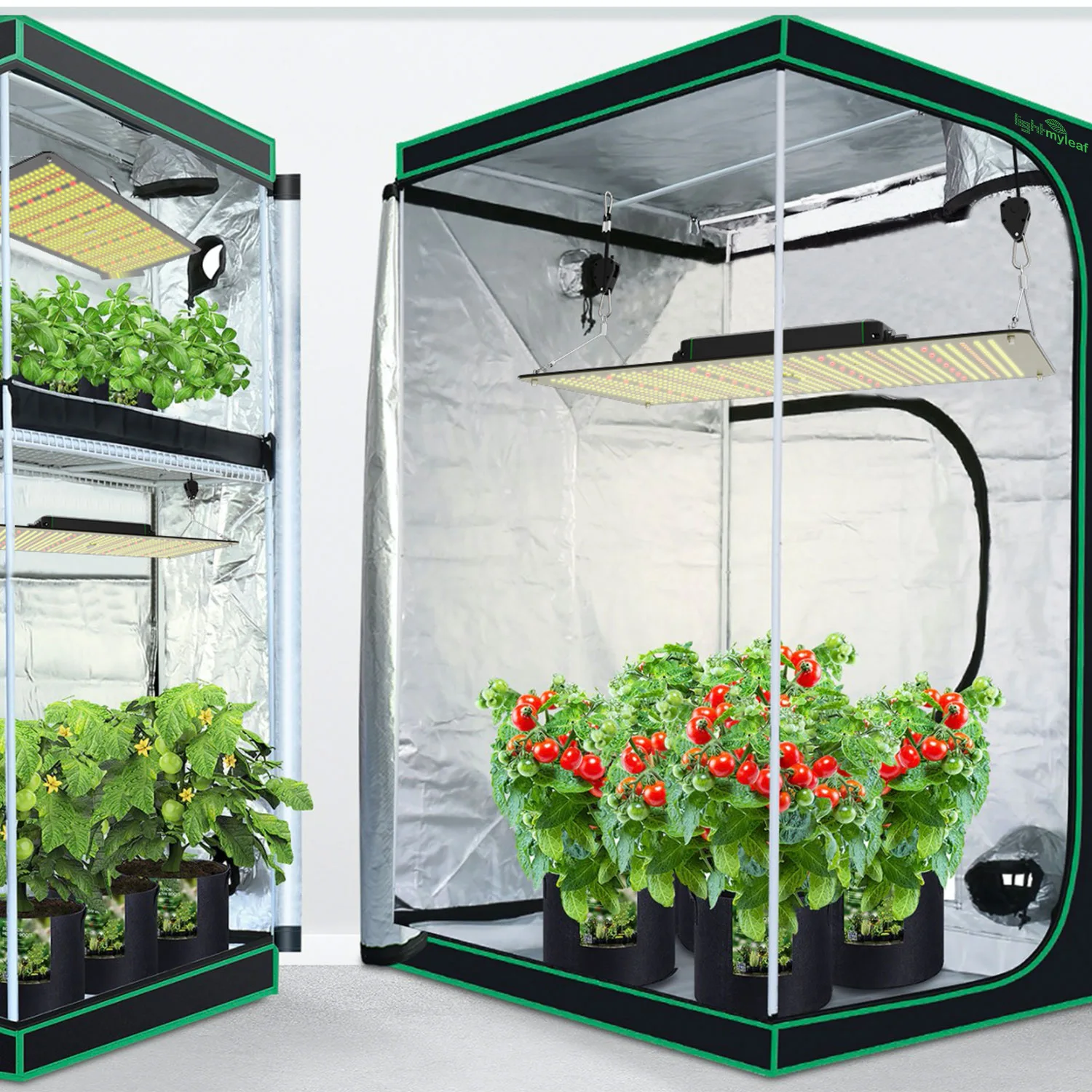 Best Seller 2.8 umol/J Full spectrum Led grow lighting  indoor plants growing flower vegetable stage Seeds