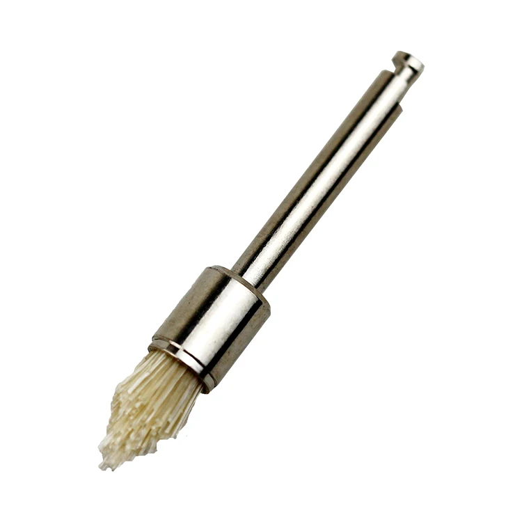 TA024 ZOGEAR Disposable dental tapered style prophy brush