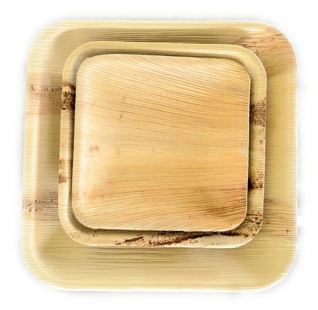 Compostable eco friendly natural Areca palm leaf disposable square plates bowl tray compartment Tableware areca nut