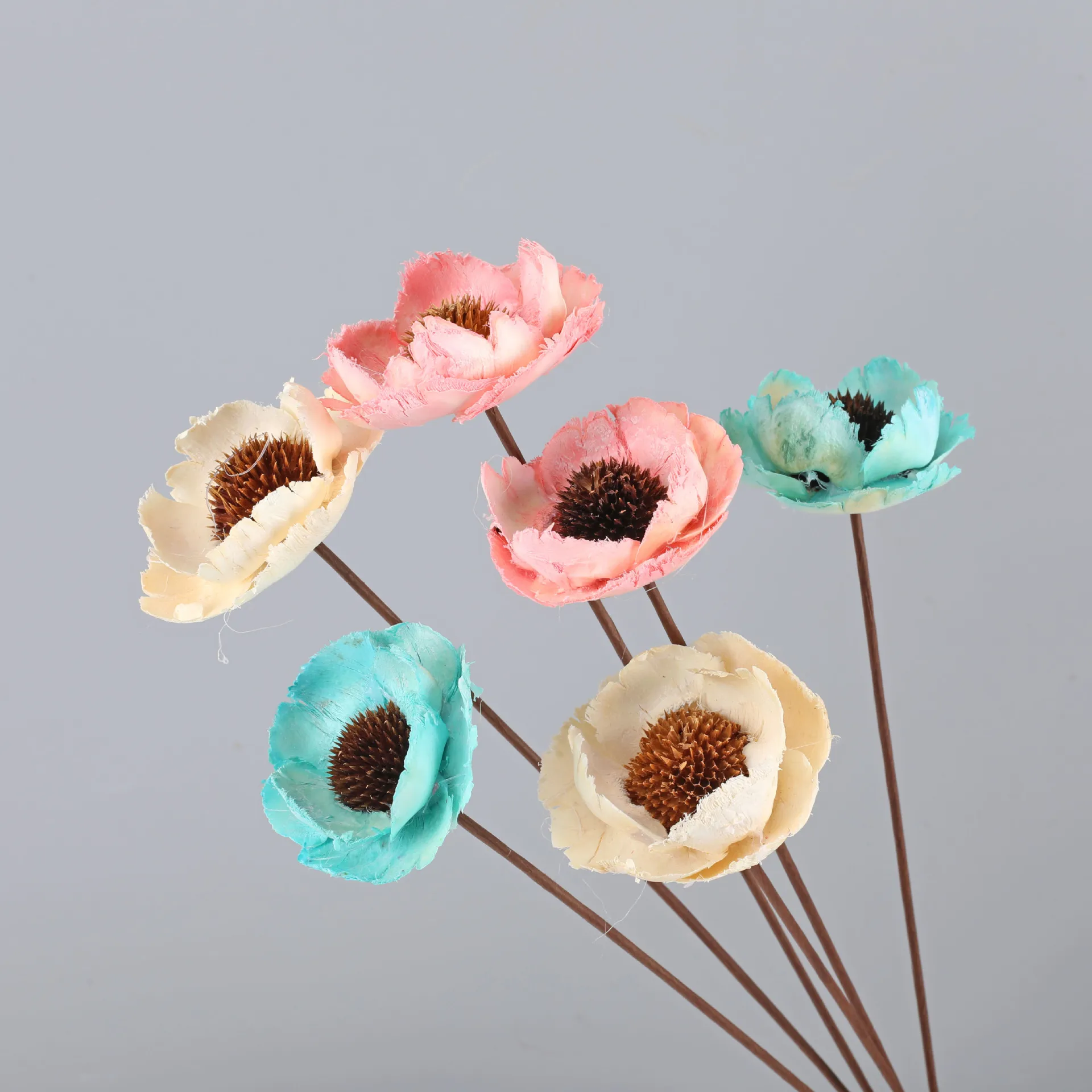 2022 Yunnan Wholesale The Most Popular Dried poppy flower Dried Fruit Dipsacus Sativus for Christmas
