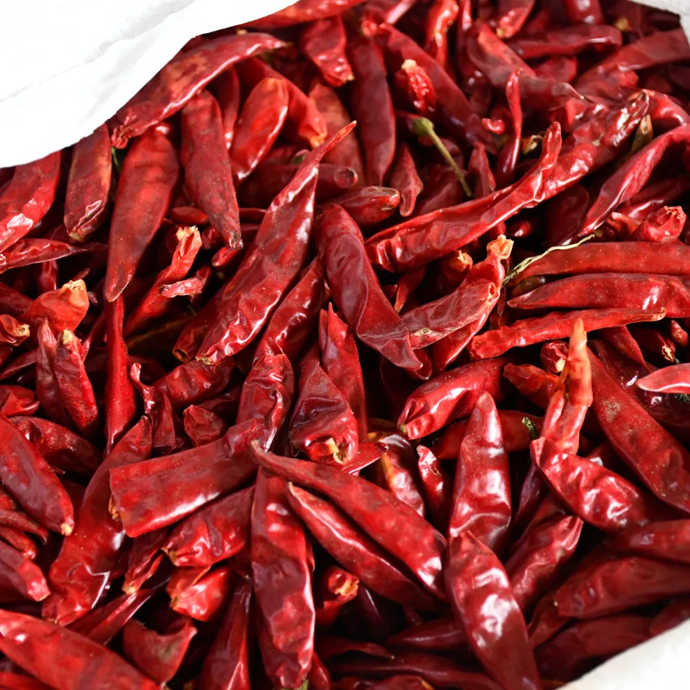 Natural chili spicy and hot red chili china origin Qin red chili whole