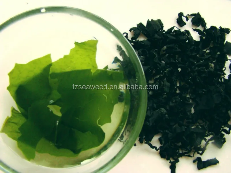 Wholesale Organic sea vegetable natural dried seaweed  Dried Wakame Cut