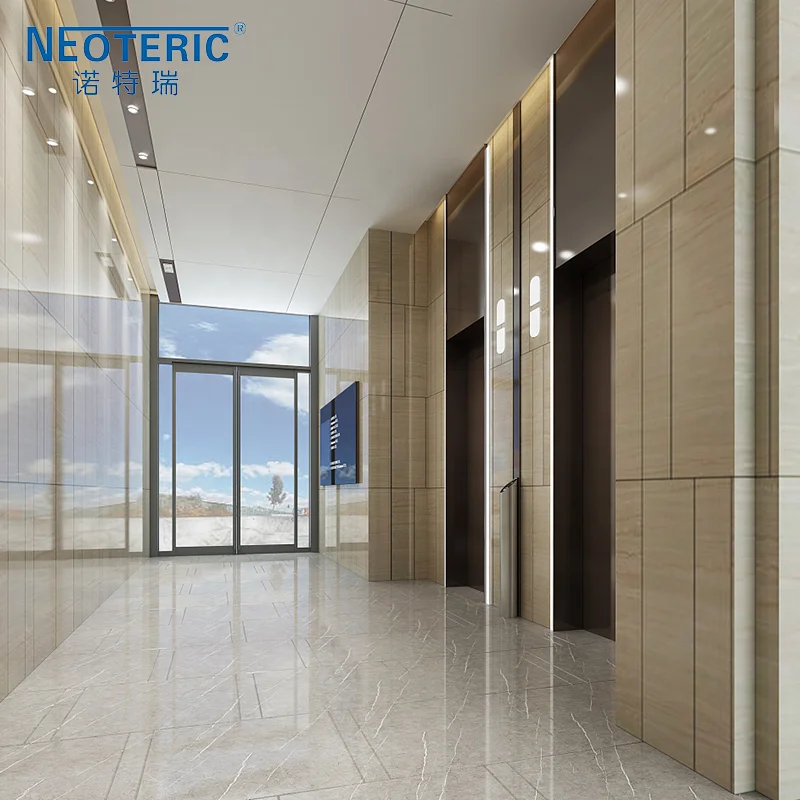 Neoteric High Quality Luxury Machine Room Passenger Elevator 6-8 Person Lift