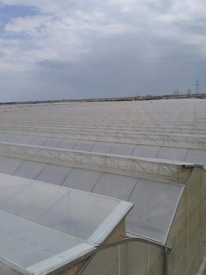 Лучший овощеводный поликарбонатный лист теплицы SUNSGH Китай