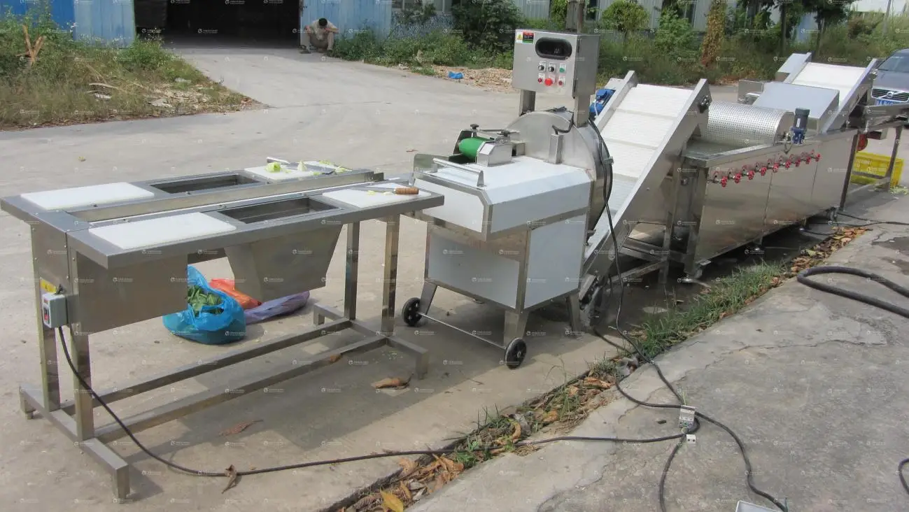 Salad Vegetable Production System Industrial Vegetable Washing Cutting Drying Processing Line