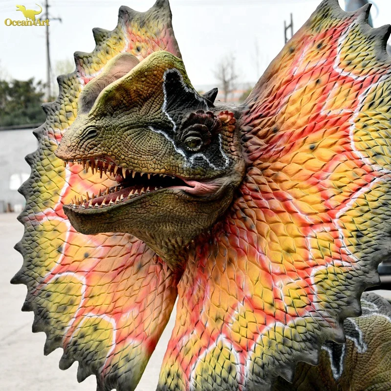 AD-RN078   Life Size Dinosaur Dilophosaurus Head For Dinosaur Exhibition