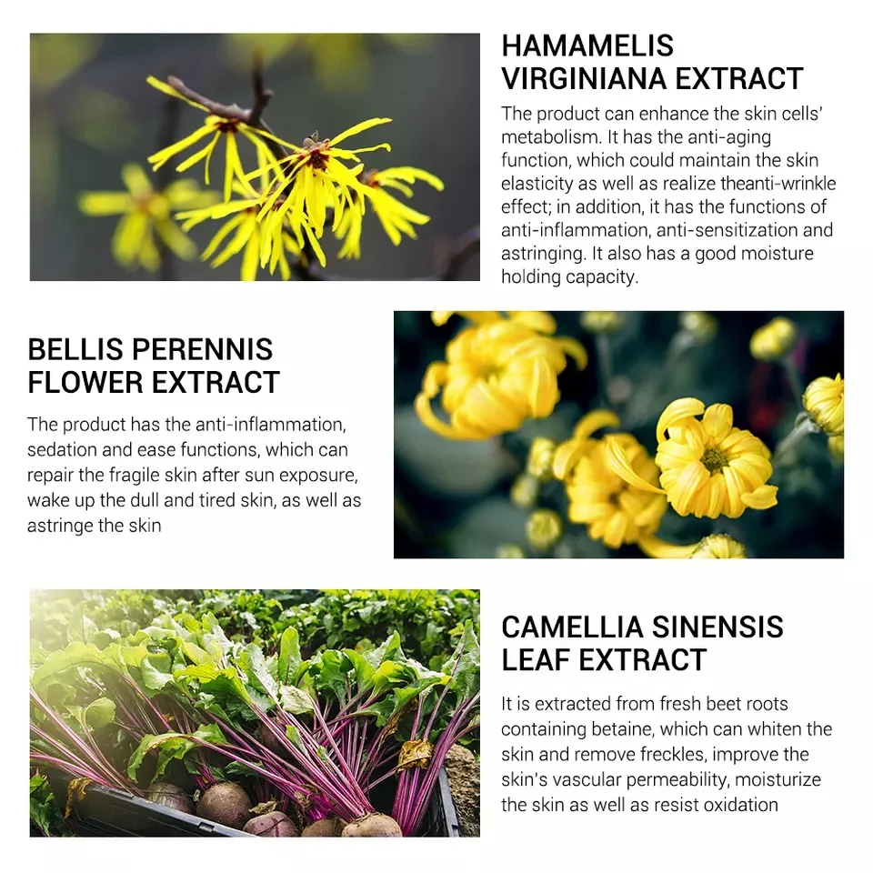 Anti-Aging Liquid Essences Contains 20% Vitamin C +5% Hyaluronic Acid + 2.5% Retinol Serum